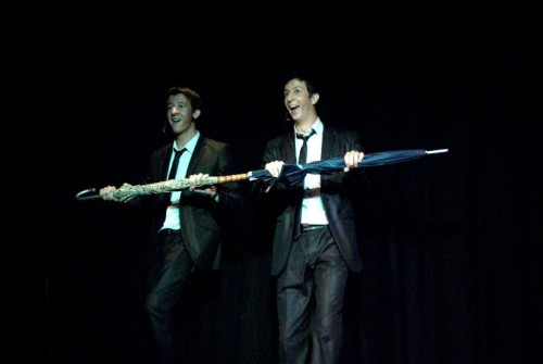 Photo du spectacle The Twin Men Show